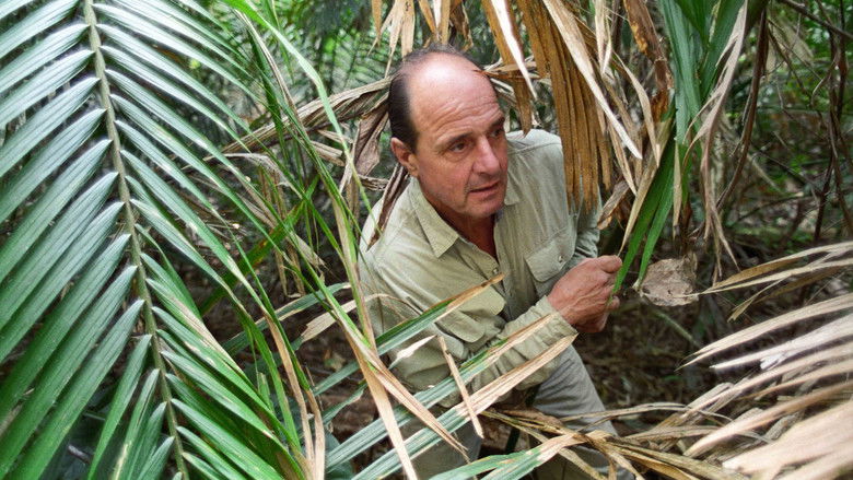 кадр из фильма Little Dieter Needs to Fly