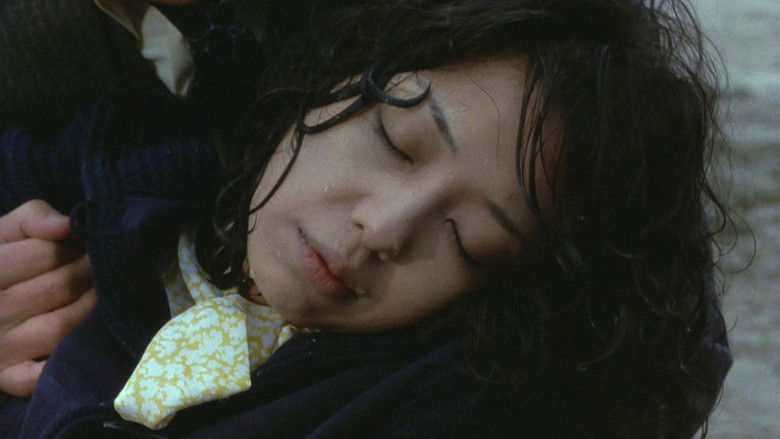 кадр из фильма 海潮音