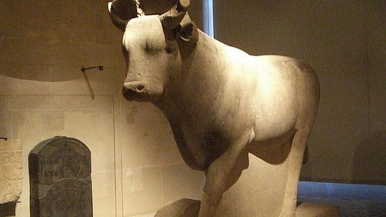 Egypt: The Treasure Of The Sacred Bulls