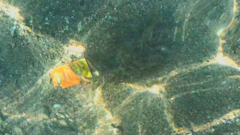 3 continentes, mesmo lixo.