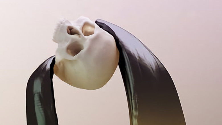 кадр из фильма Падения