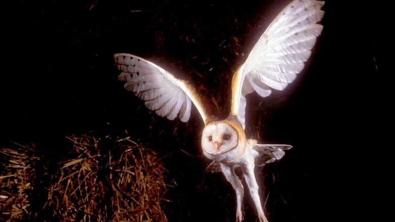 кадр из фильма Des Bêtes et des Sorcières