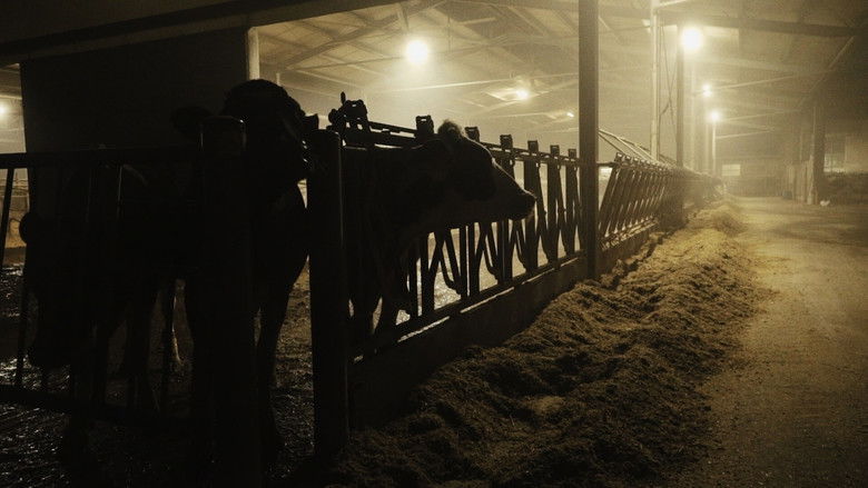 La contea nella nebbia