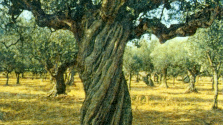 кадр из фильма Sotiros