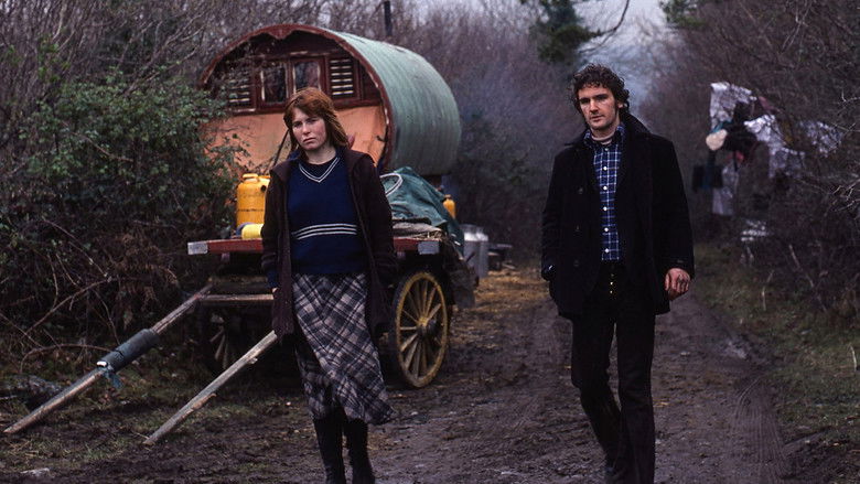 кадр из фильма Traveller