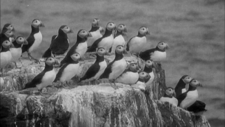 кадр из фильма Nursery Island