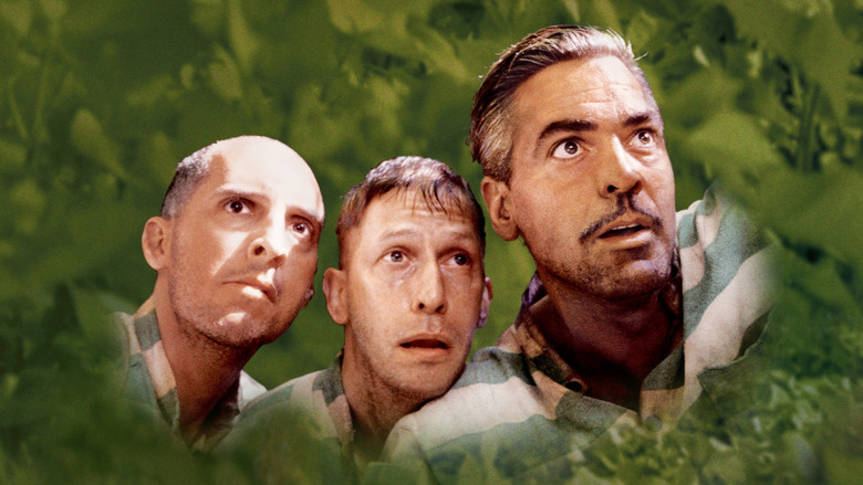 кадр из фильма О, где же ты, брат?