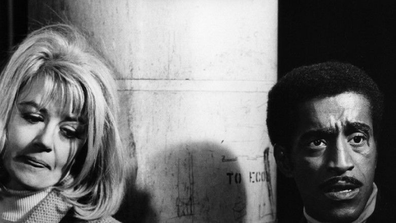 кадр из фильма The Pigeon