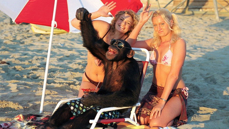 кадр из фильма Волосатая история