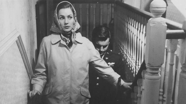 кадр из фильма Любовник войны