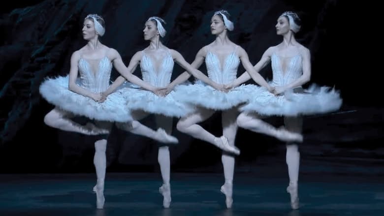 кадр из фильма Swan Lake