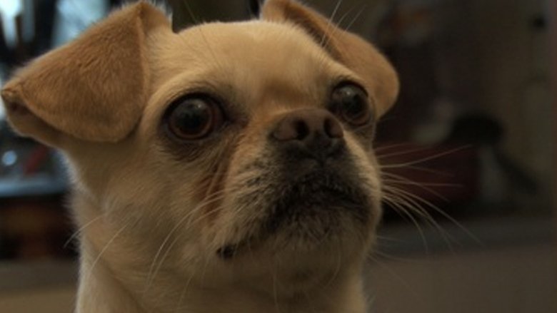 кадр из фильма El mate amargo