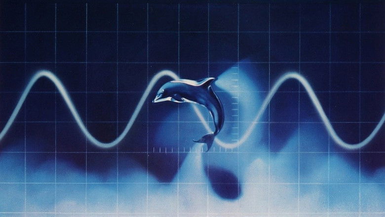 кадр из фильма День дельфина