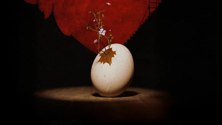 кадр из фильма « Le Petit Cirque » aux Nuits de Fourvière