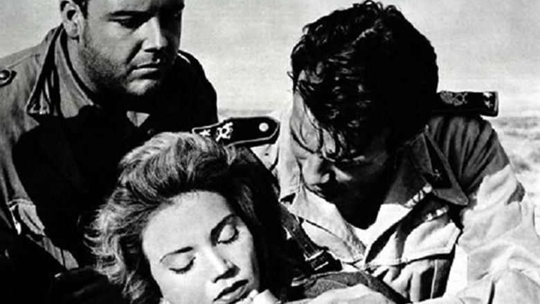 кадр из фильма Quattro notti con Alba