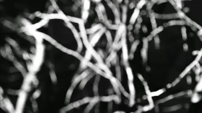 кадр из фильма Lab 1