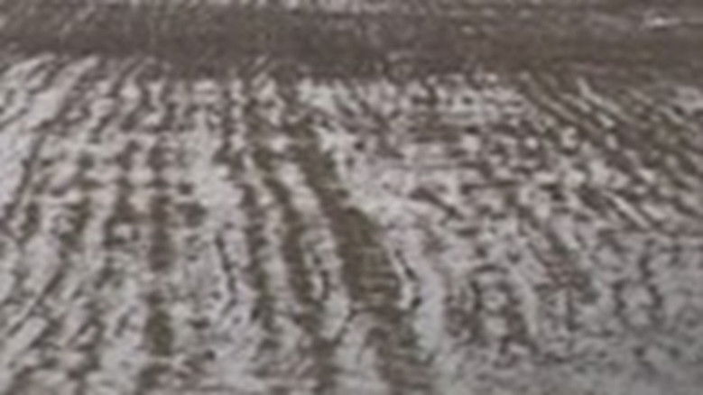 кадр из фильма 无望的土地