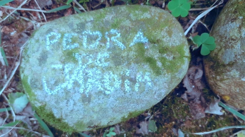 кадр из фильма pedra de jardim