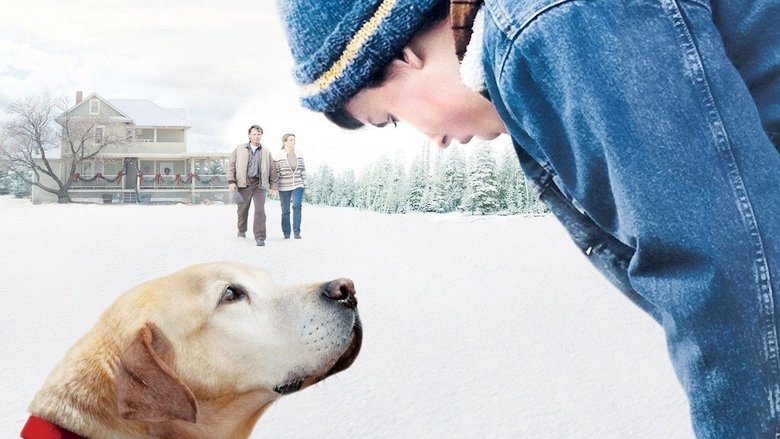 кадр из фильма A Dog Named Christmas