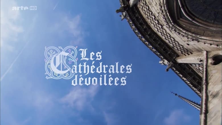 кадр из фильма Les Cathédrales dévoilées