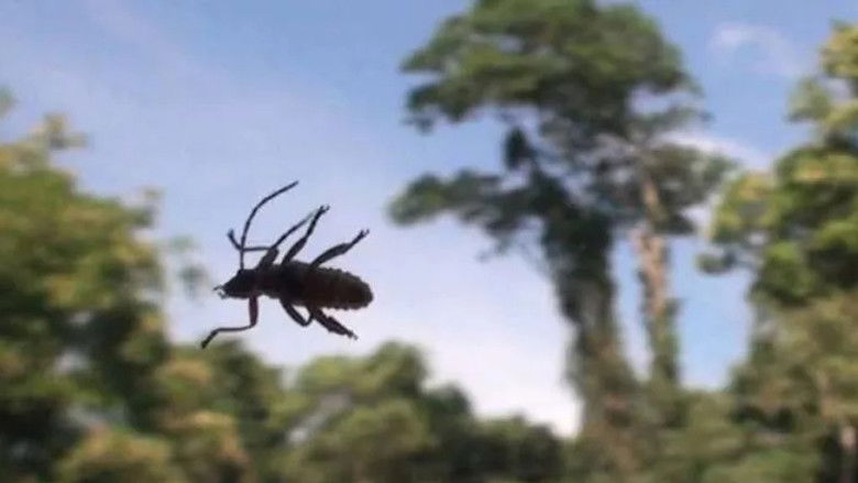 кадр из фильма El asombro