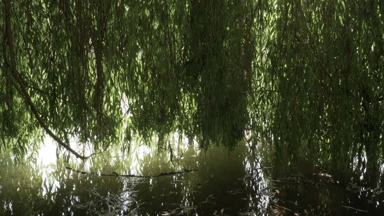 кадр из фильма Que reste-t-il de nous ?