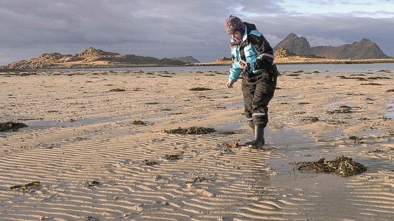 кадр из фильма SMILE og VINKE