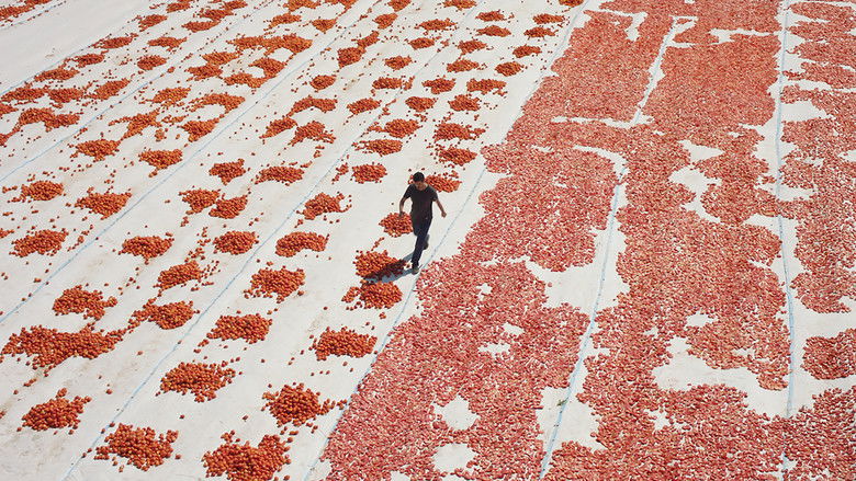 кадр из фильма Hemme’nin Öldüğü Günlerden Biri