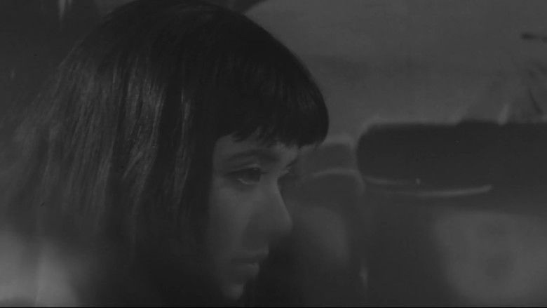 кадр из фильма 非行少女ヨーコ