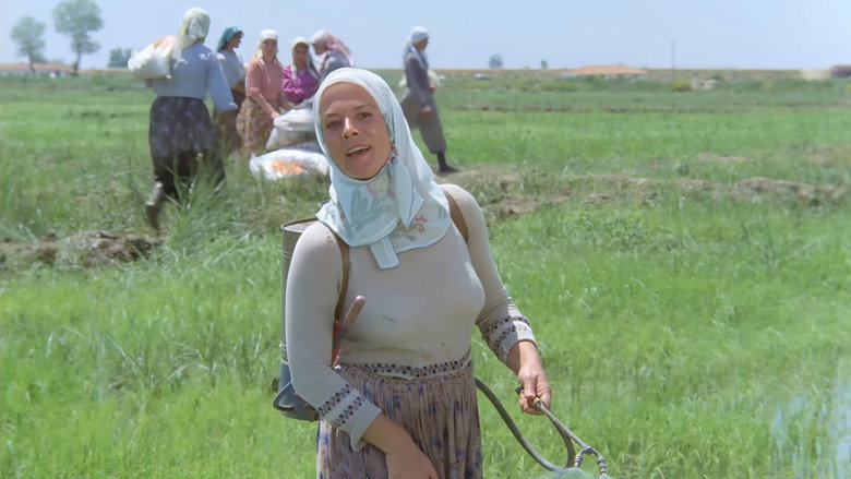 кадр из фильма Kurbağalar