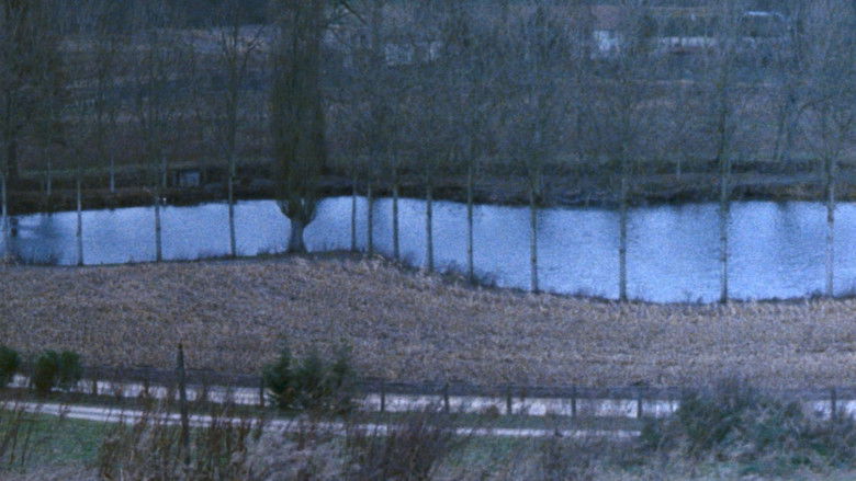 кадр из фильма Холодная вода