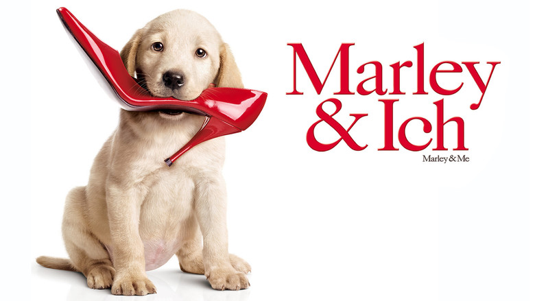 кадр из фильма Марли и я