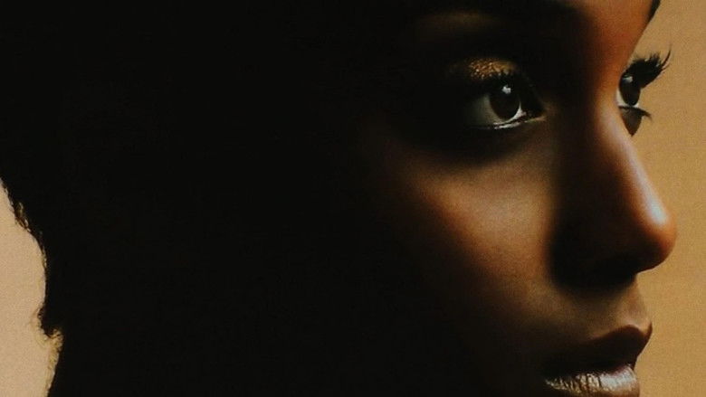 The Colour of Beauty