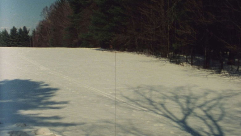 кадр из фильма The Animal