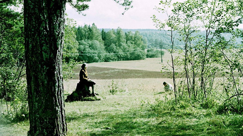 кадр из фильма Зеркало