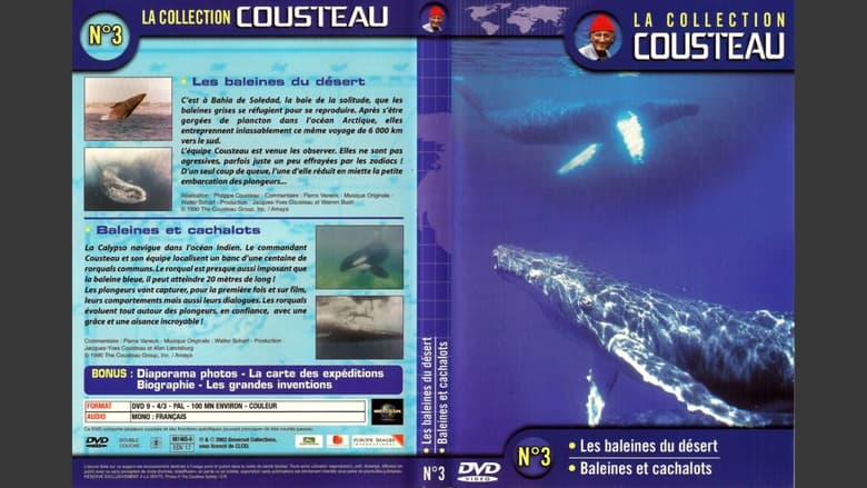 кадр из фильма La collection Cousteau N°3 | Les baleines du désert | Baleines et cachalots