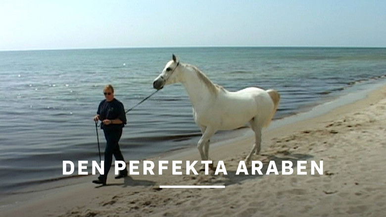 кадр из фильма Den perfekta araben