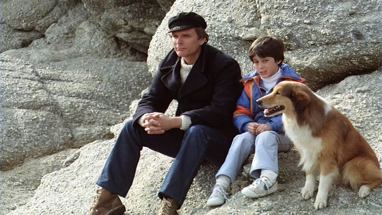 кадр из фильма The Time Traveller