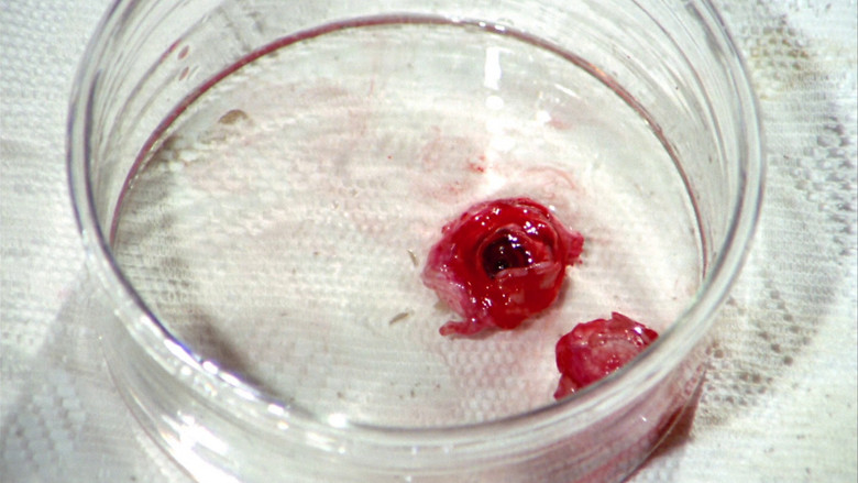 кадр из фильма Голубые глаза поломанной куклы