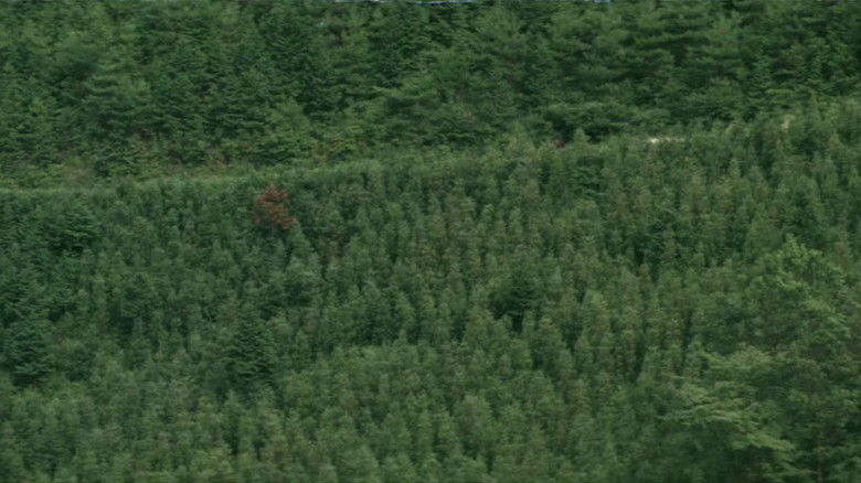 кадр из фильма Бездомный скиталец