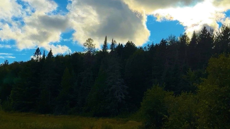 кадр из фильма SHEARS