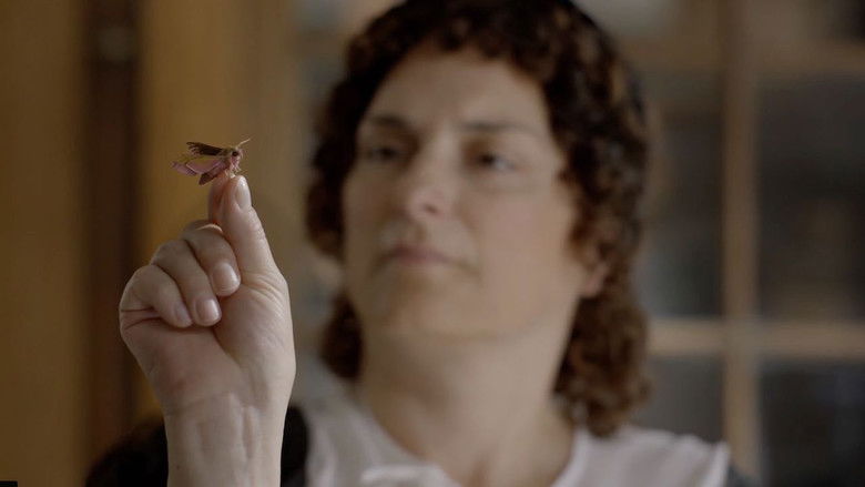 кадр из фильма Metamorfose