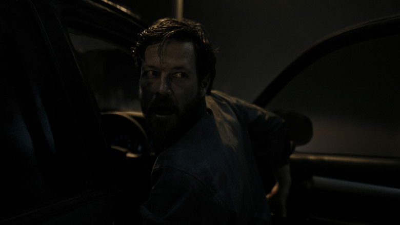 кадр из фильма Дорога милосердия