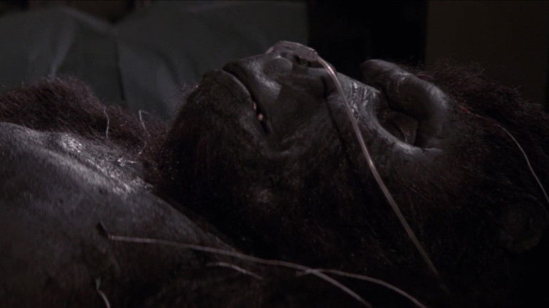 кадр из фильма Кинг Конг жив