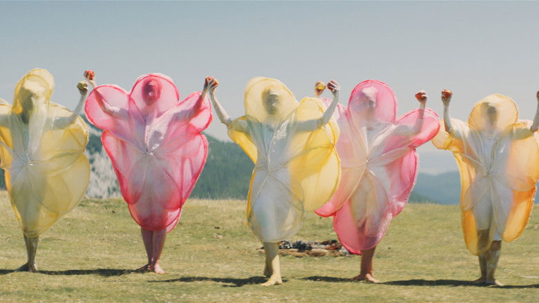 кадр из фильма Dantza