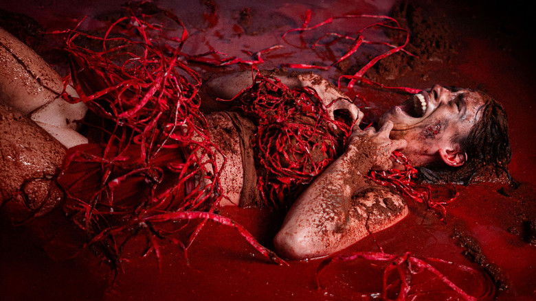 кадр из фильма El Cuerpo de Lili