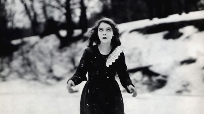 кадр из фильма Водопад жизни