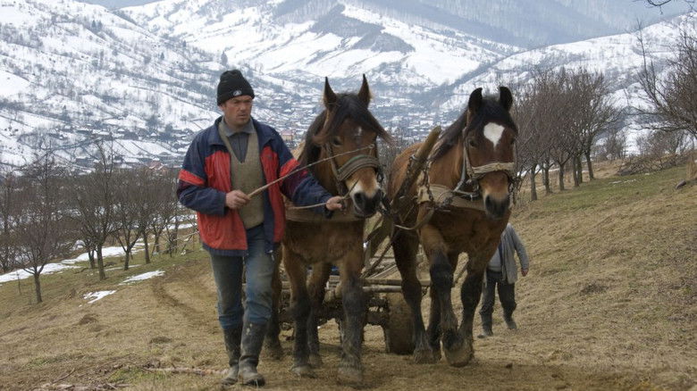 кадр из фильма Botiza