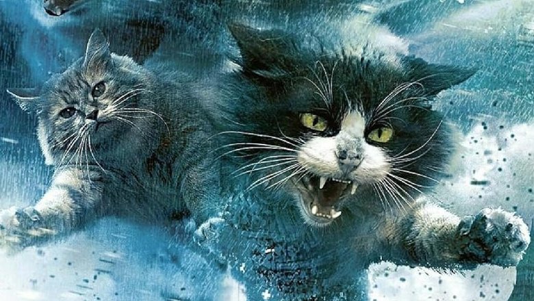 кадр из фильма Catnado