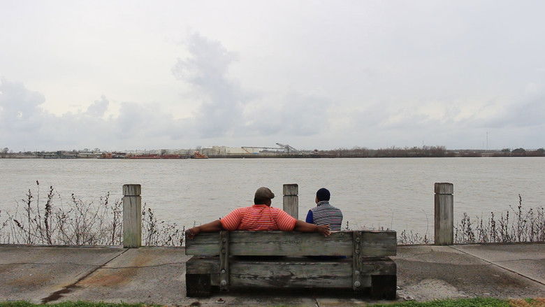 кадр из фильма This Little Light